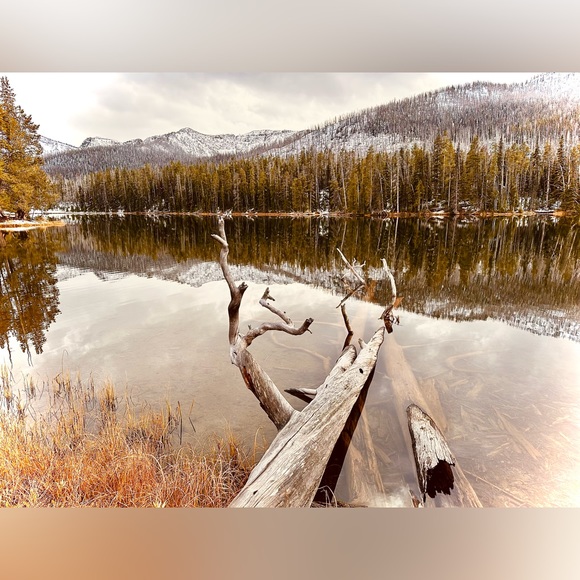 Meet your Posher, Phillip - Picture 8 of 8